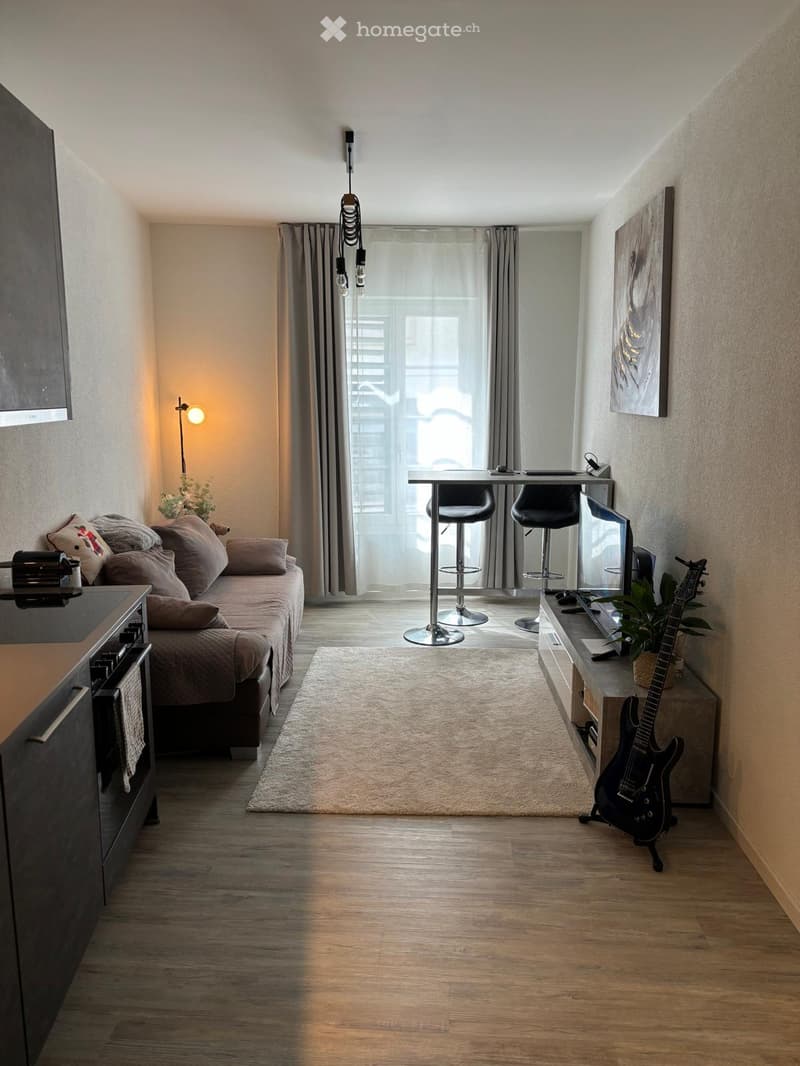 A modern, compact living space with a sofa, a small table with two stools, a guitar, a laptop, and a plant. The room features wooden flooring, a large window with curtains, and a painting on the wall.