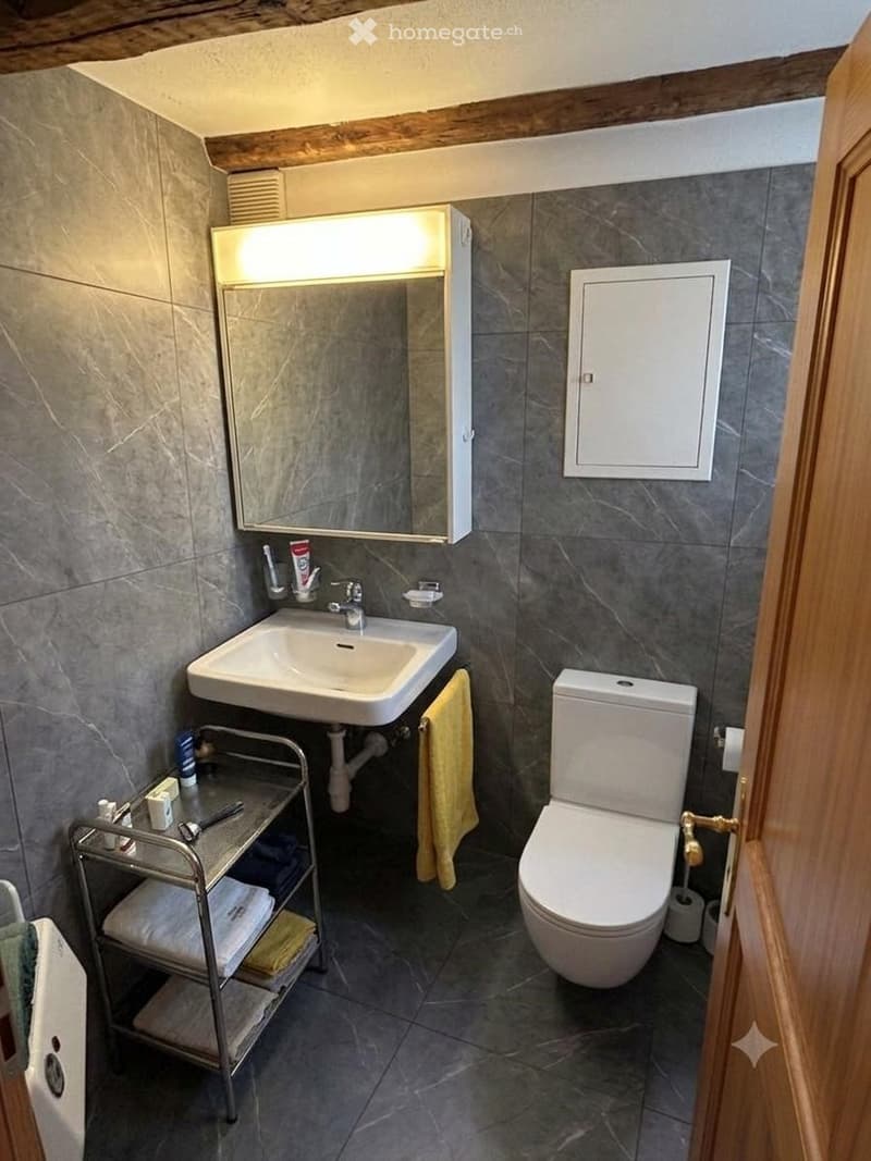 Modern bathroom with a white sink, toilet, mirror cabinet, and a towel rack holding towels. The walls are tiled in dark grey, and the floor is also tiled.