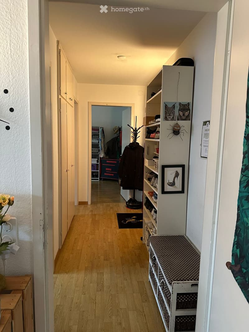 A narrow hallway with wooden flooring, white walls, and several doors leading to other rooms. Features include a coat rack with jackets, a shoe shelf, a small bench with a patterned cushion, and a framed picture on the wall.