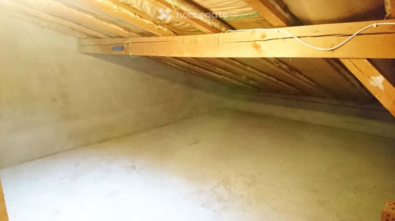 Empty attic space with exposed wooden beams and insulation, concrete floor, and unfinished walls.