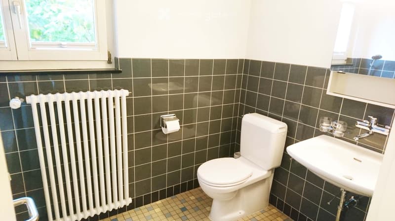 Modern bathroom with dark tiled walls, white radiator, toilet, sink, and mirror. Natural light from window.