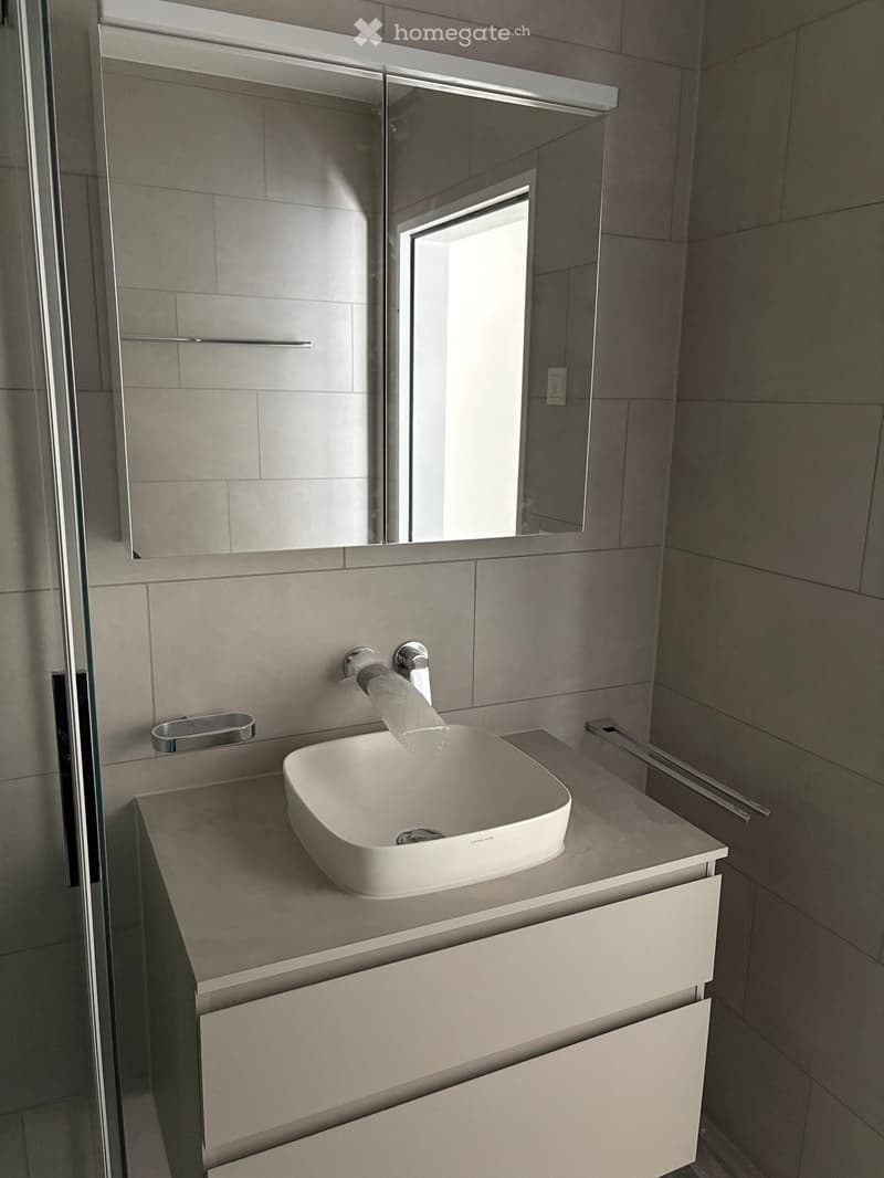 Modern bathroom with a white sink, sleek faucet, large mirror, and built-in cabinetry.