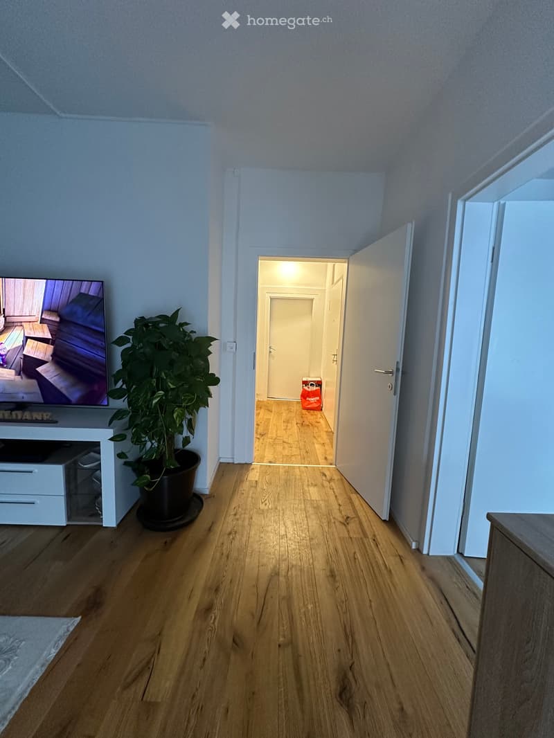 Helle 4-Zimmer-Wohnung mit Balkon an der Paradiesstrasse in St. Gallen (5)