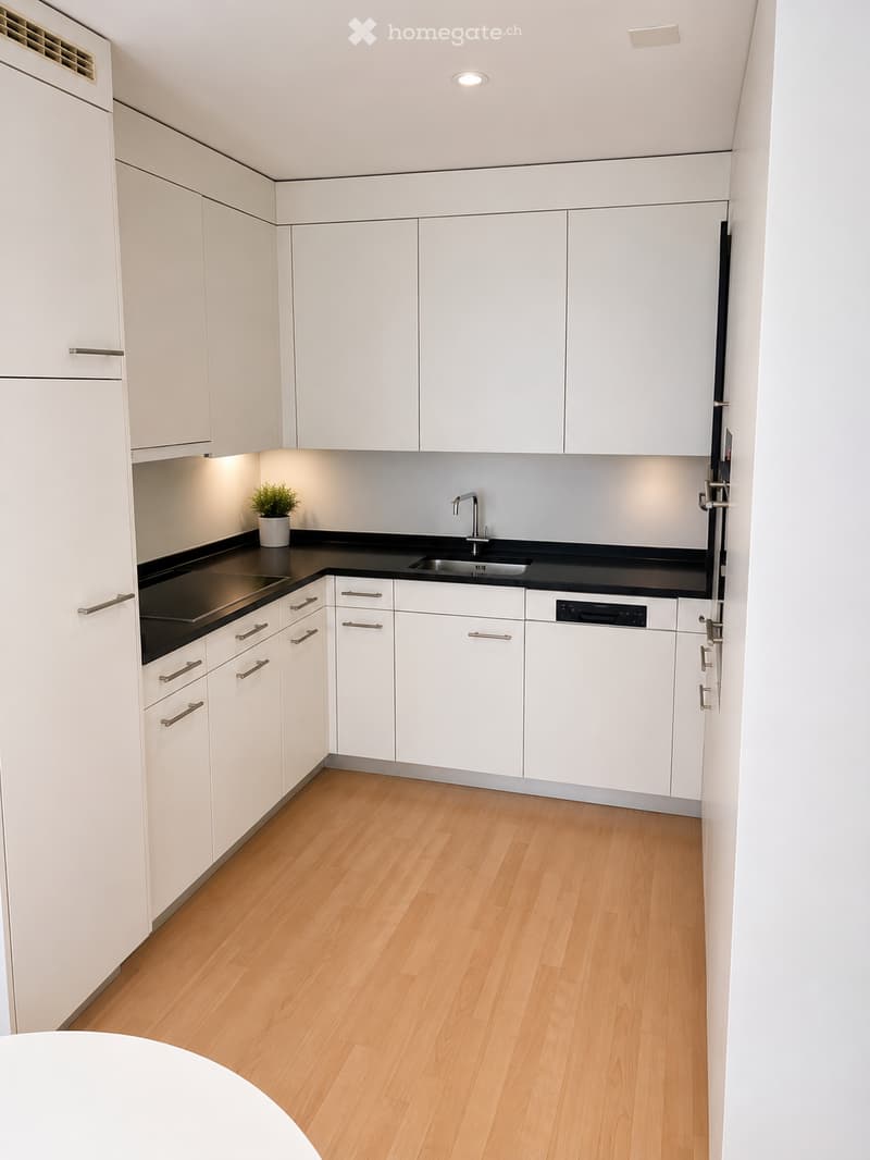 Modern kitchen with white cabinets, black countertops, and a wooden floor. Features a sink, stove, dishwasher, and a small potted plant on the counter.