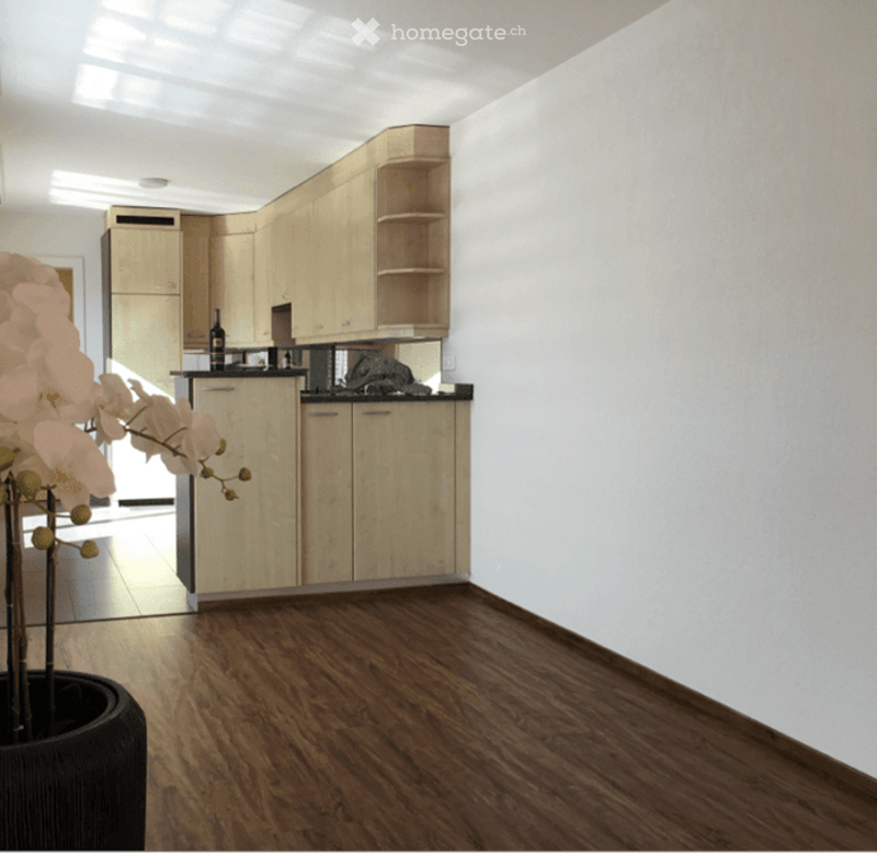 modern design, wooden cabinets, built-in refrigerator, wooden flooring, white walls, backsplash, countertop, open concept