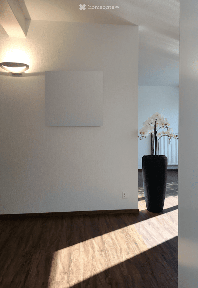 wooden floor, white walls, floor lamp, potted plant, white outlet on wall, window to the right