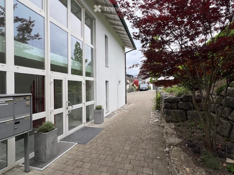 Modern white building with large glass windows and doors, featuring a brick pathway leading to the entrance, small potted plants, and a stone wall on one side.