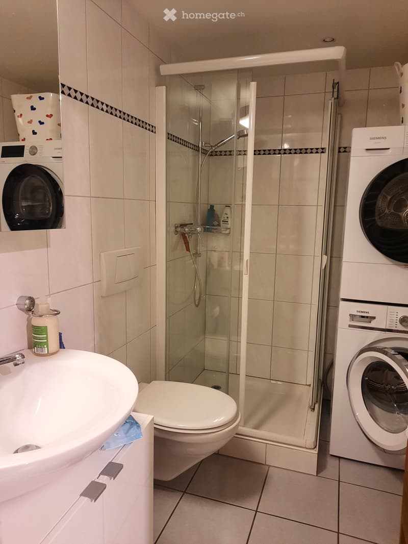 Modern bathroom with a white sink, toilet, glass-enclosed shower, and a Siemens washing machine. The walls are tiled with a decorative border, and there is a bottle of soap on the sink.