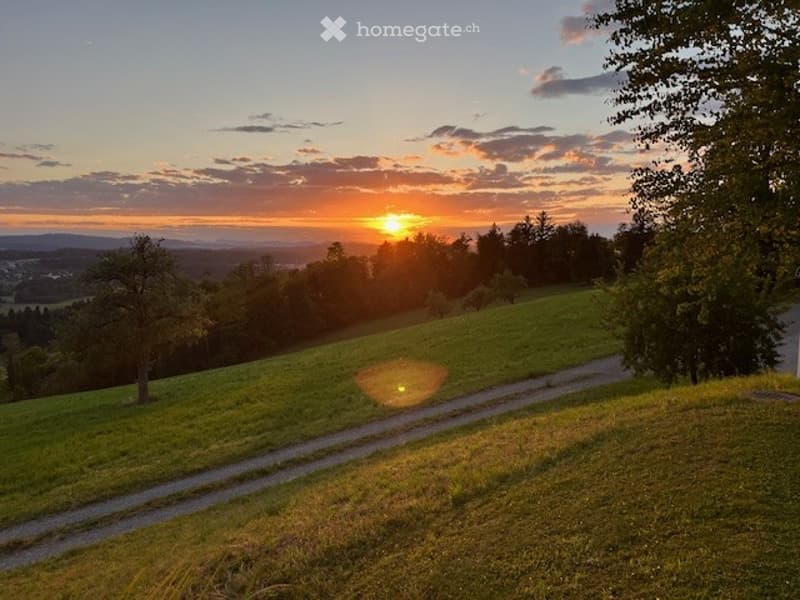 A serene outdoor scene featuring a grassy hill with a winding dirt path, surrounded by trees and a distant view of a town under a colorful sunset sky.