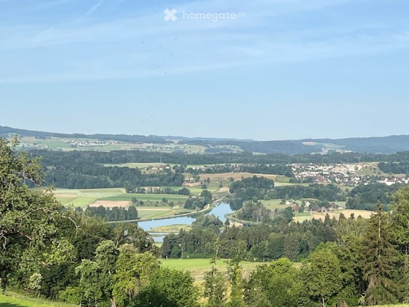 Panoramic view of a rural landscape with fields, a river, and scattered houses under a clear sky.