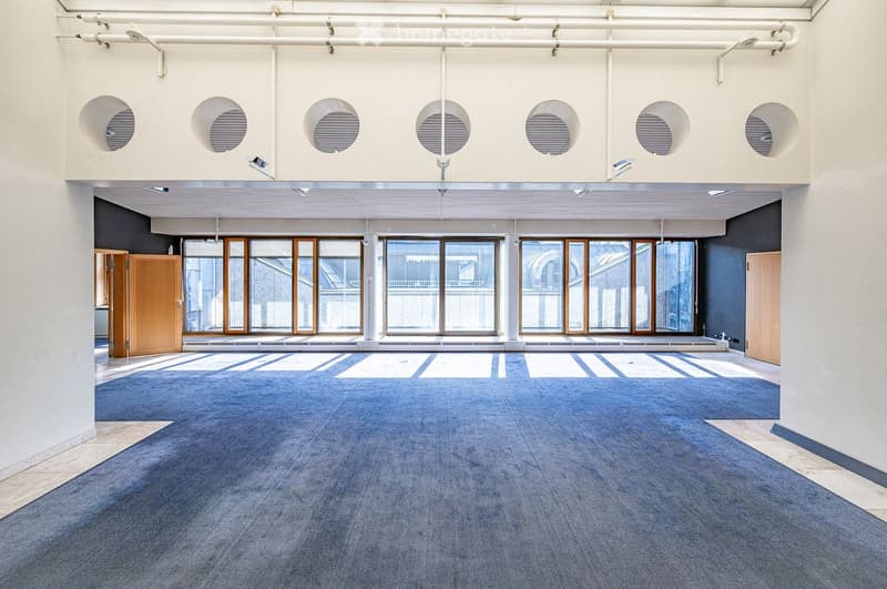 Empty room with blue carpet, large windows, and white walls. No furniture or equipment present.