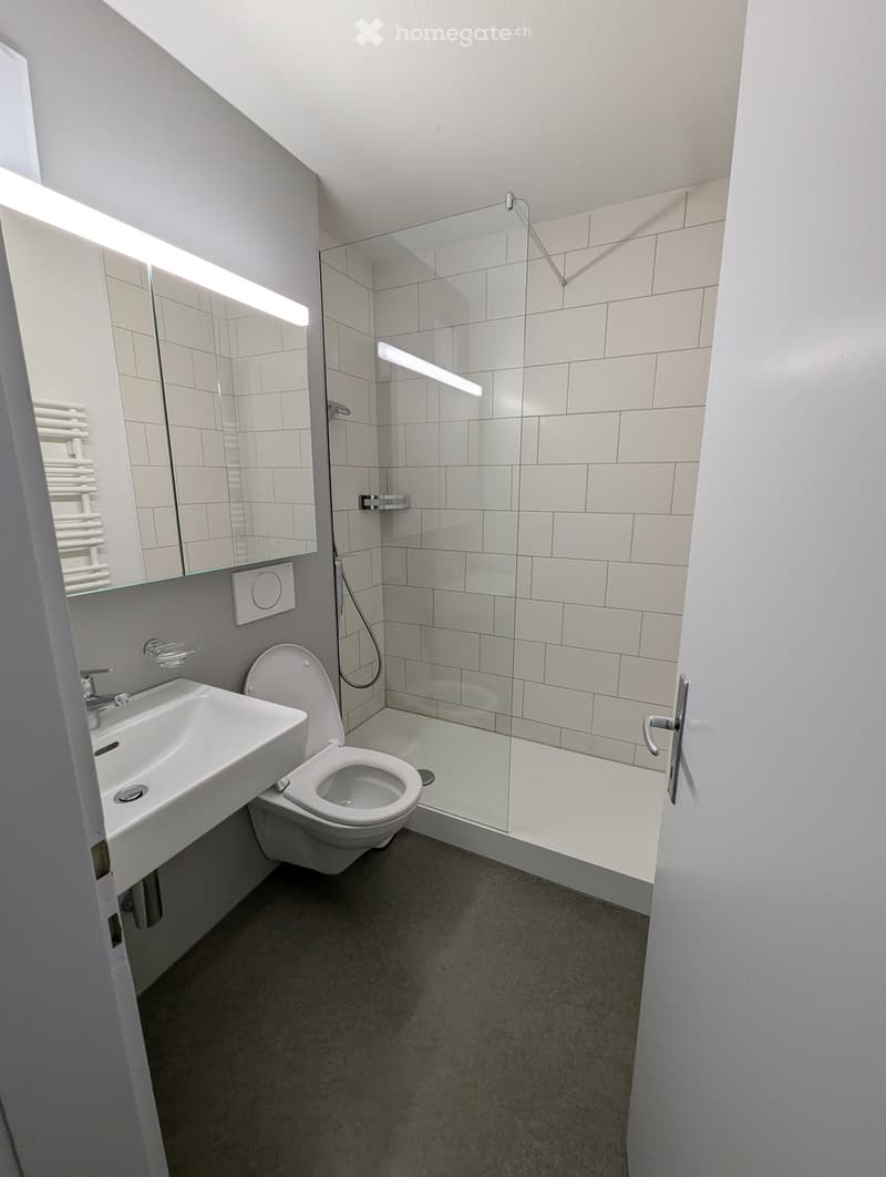 Modern bathroom with white tiles, a glass-enclosed shower, a sink, and a toilet. Features a large mirror with built-in lighting and a towel rack.