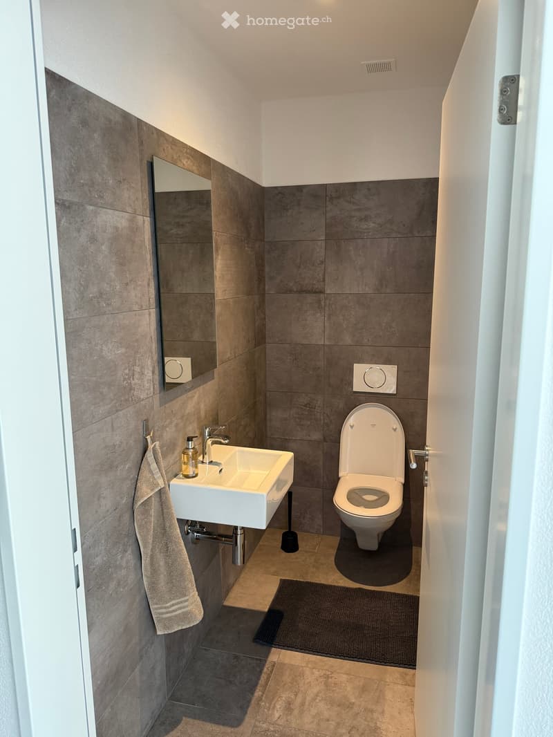 Modern bathroom with a white sink, chrome faucet, toilet, mirror, towel, and a bottle on the sink counter.