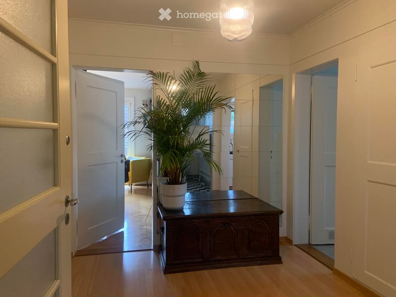 A well-lit hallway with wooden flooring, a large potted plant on a dark wooden table, and doors leading to other rooms.