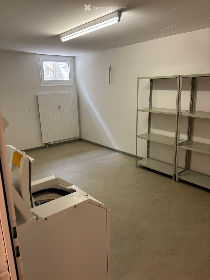 Empty room with white walls, concrete floor, shelves, radiator, and washing machine.