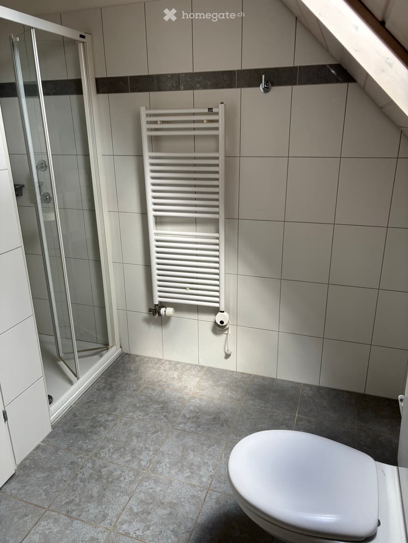 Modern bathroom with grey tiled floor, white radiator, toilet, and glass-enclosed shower area.