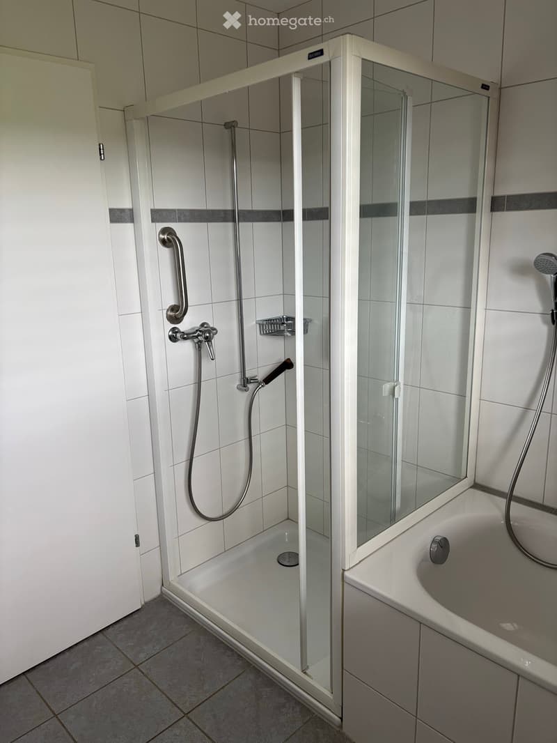 Modern bathroom with a bathtub, glass-enclosed shower stall, and tiled walls and floor. Features a handheld showerhead and a fixed showerhead, along with a glass door and a faucet.