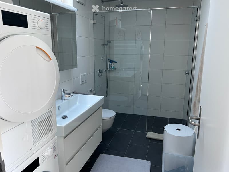 Modern bathroom with a white sink, toilet, glass-enclosed shower, and a washing machine. Features include a showerhead, shower rack, and a toilet paper holder.