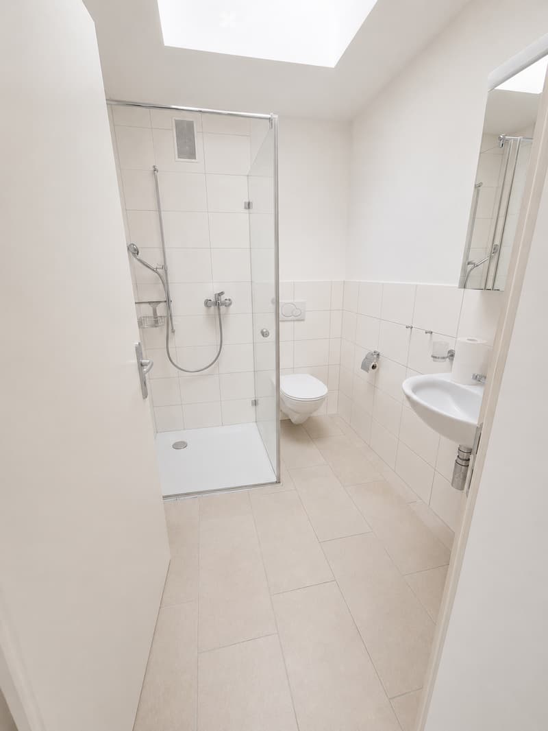 Modern bathroom with white tiles, a glass-enclosed shower, a toilet, a sink with a mirror, and a skylight window for natural light.