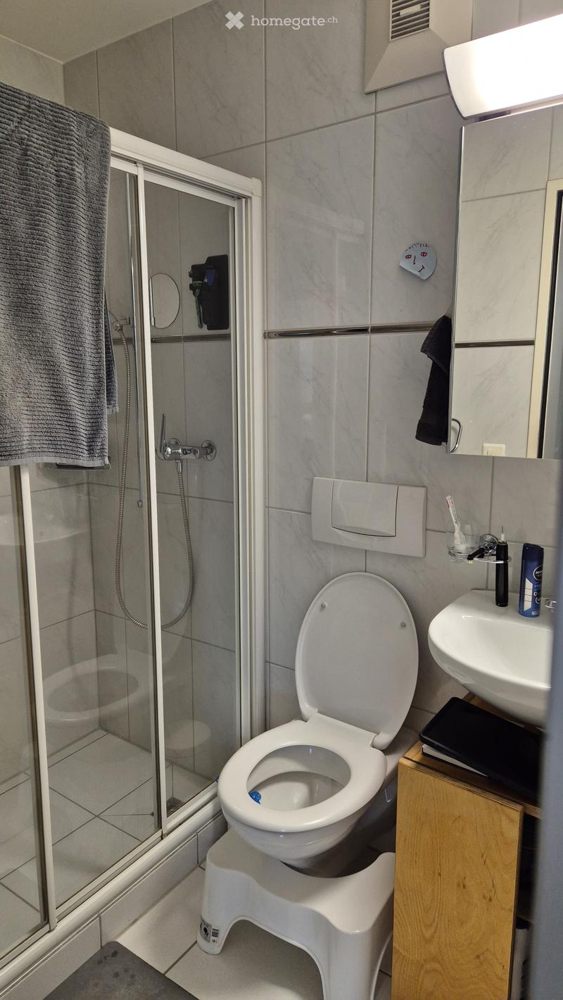 Modern bathroom with a toilet, sink, mirror, and a towel on the floor. The walls are tiled in light grey, and the floor is also tiled.