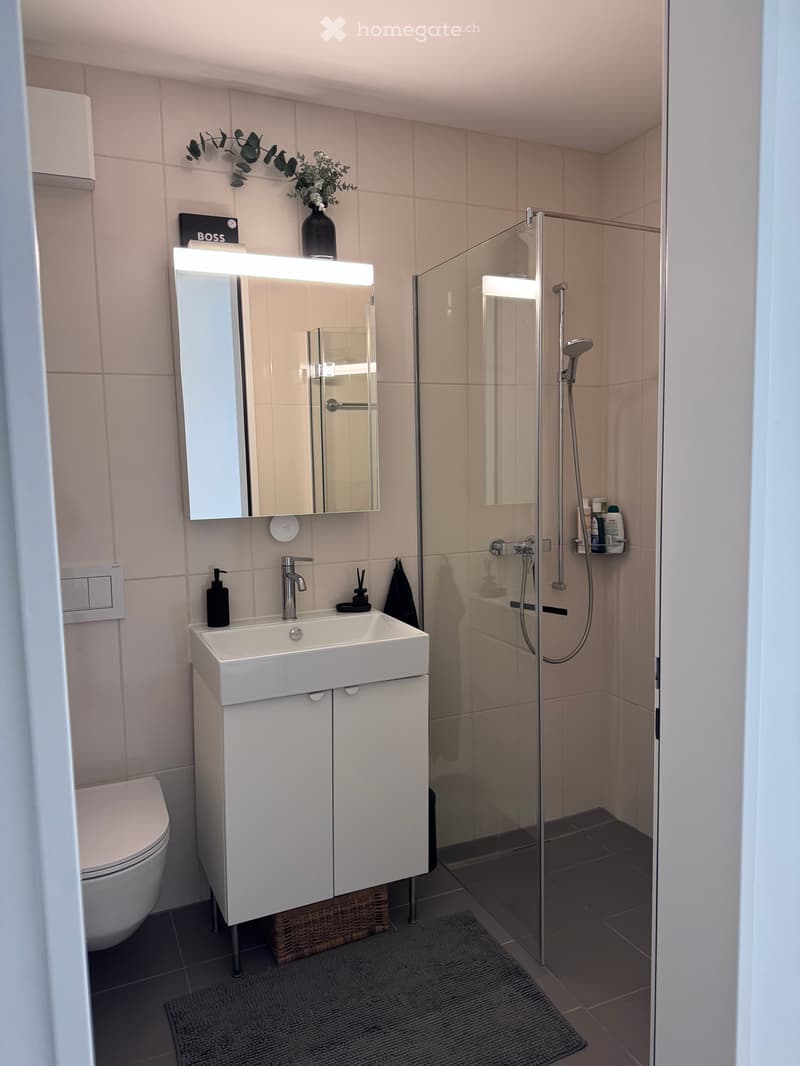 4 ½ Zimmer-Wohnung, 8045 Zürich (4)