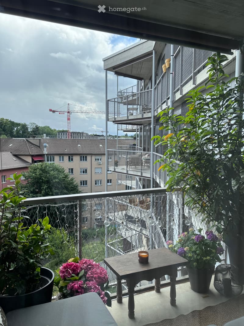 4 ½ Zimmer-Wohnung, 8045 Zürich (5)