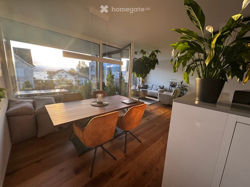 Open-plan living and dining area with wooden flooring, large windows, a sofa, dining table with chairs, and a plant in a pot.