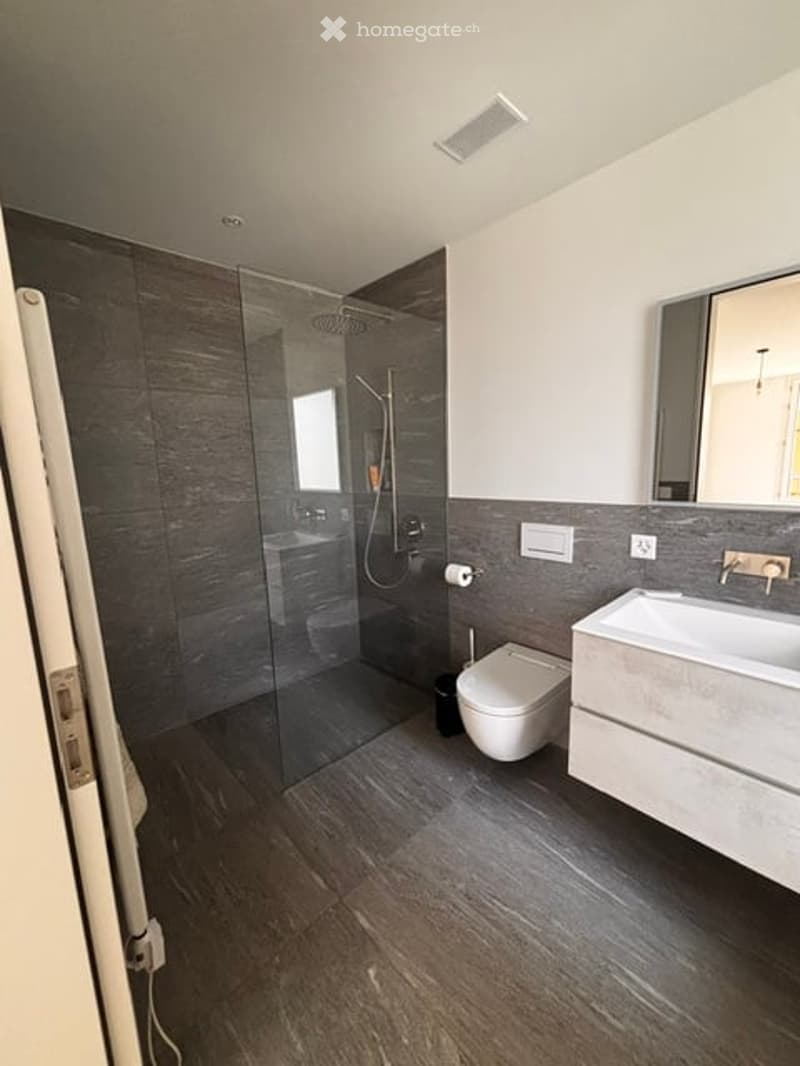 Modern bathroom with dark grey tiles, a glass-enclosed shower, a white toilet, a sink with a modern faucet, and a large mirror on the wall.