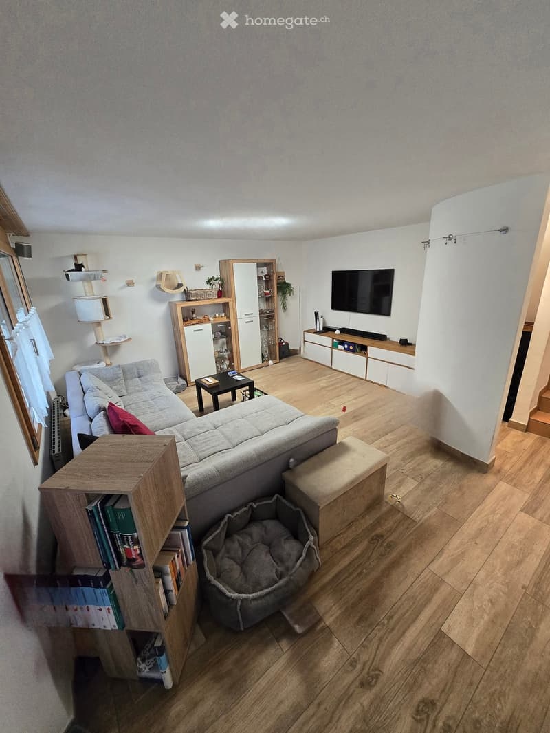 Furnished Room. Modern living room with grey sectional sofa, coffee table, cat tree, cat bed, bookshelf, television, and cabinet.