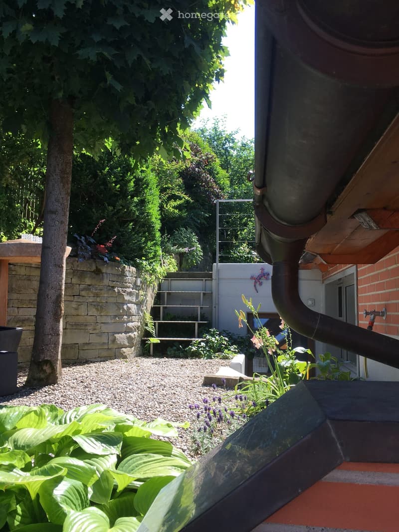 garden with plants, flowerbeds, shrubs, large tree, gravel floor, wooden wall, house at the end