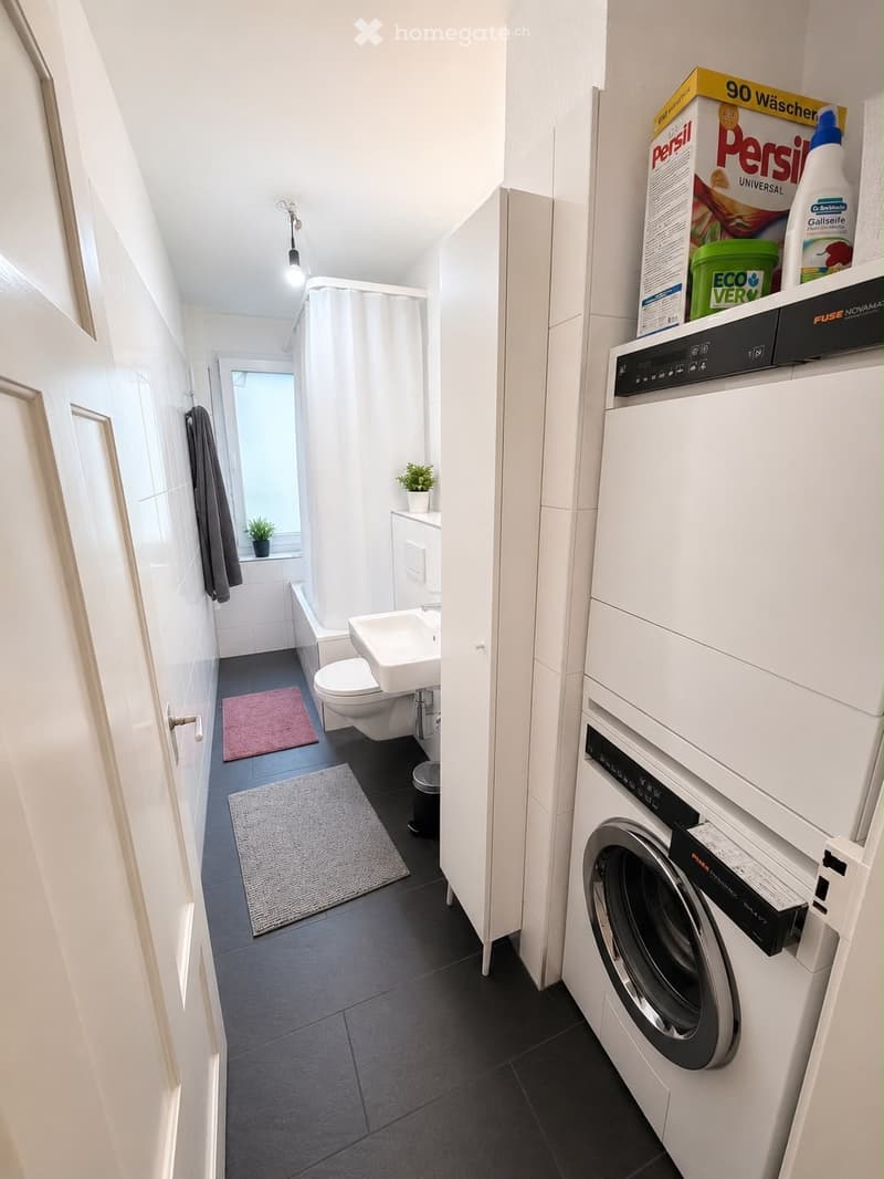 Modern bathroom with a toilet, sink, bathtub, and a private washing machine. Includes a pink towel, a grey rug, and a small plant on the windowsill.