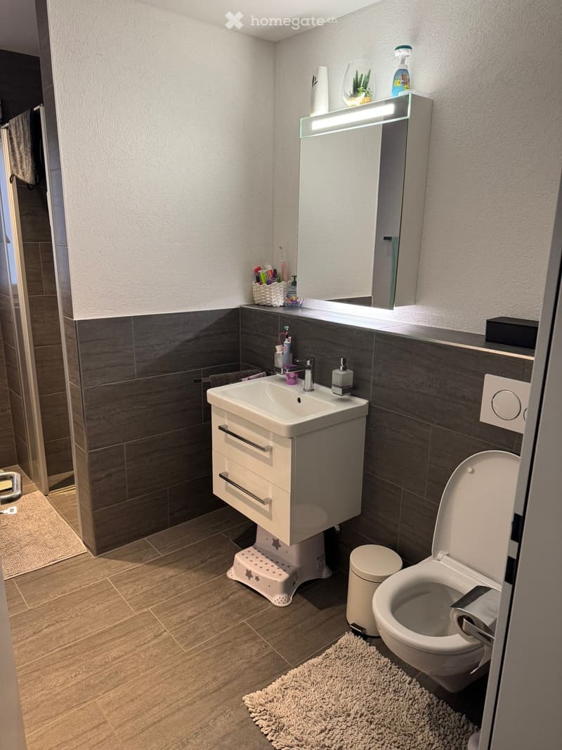 Modern bathroom with a white sink, toilet, and mirror. Features a dark grey tiled backsplash, wooden flooring, and a small white step stool near the sink.