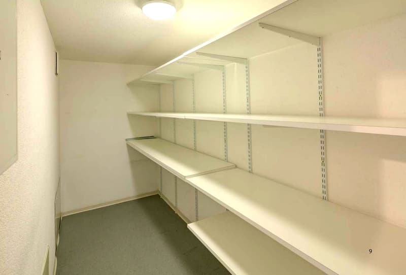 Empty room with white built-in shelving units and a grey carpeted floor.