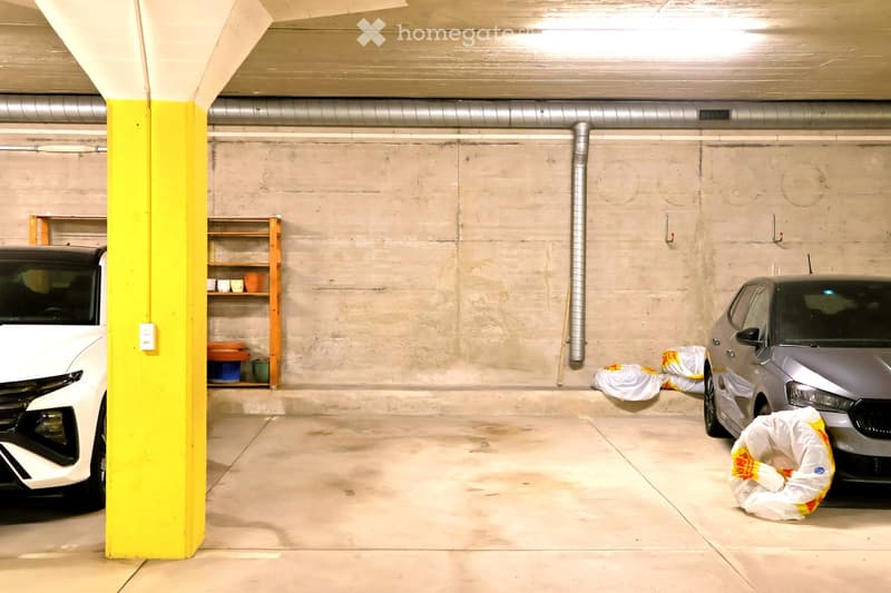 {"visible_features": ["Garage"], "type": "Garage", "objects": ["car", "shelf"], "description": "Underground garage with two parked cars, a wooden shelf with various items, and a yellow pillar.", "localized_descriptions": {"EN": "Underground garage with tw