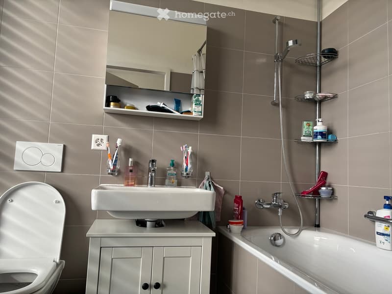Modern bathroom with a white sink, mirror, toilet, bathtub, and shower. Includes a toothbrush holder, bathroom cabinet, and various toiletries.