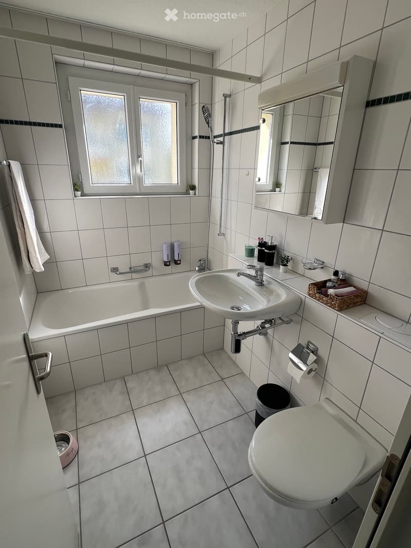 Modern bathroom with white tiles, bathtub, sink, toilet, mirror, towel, and small plants on the windowsill.