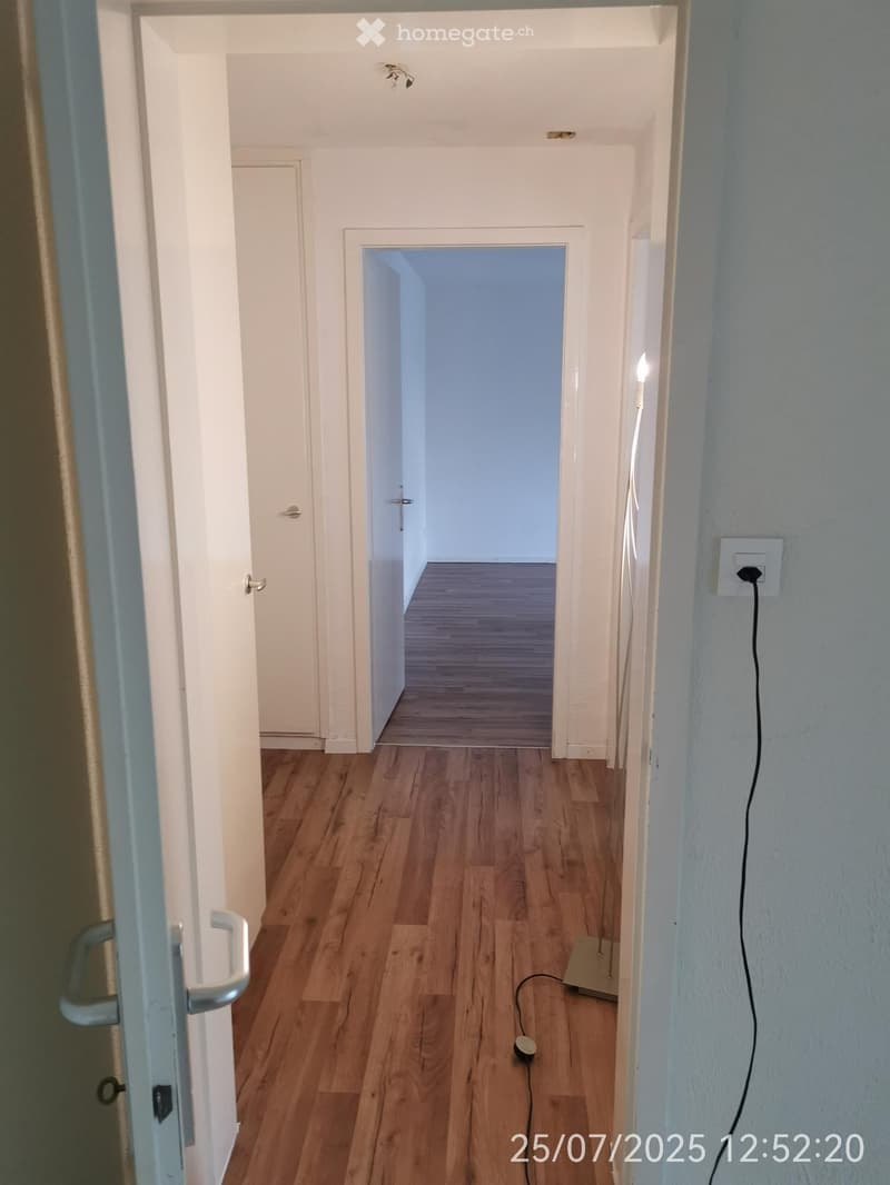 Empty corridor with wooden floors, white walls, doors leading to other rooms