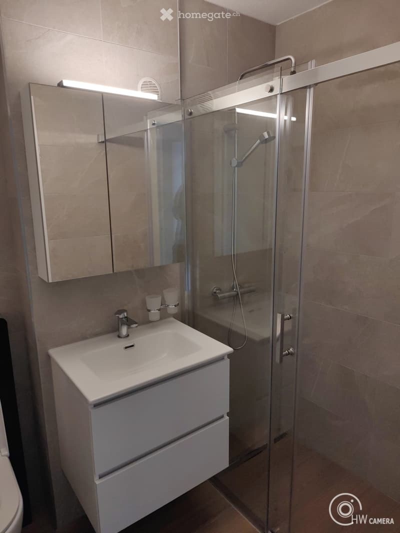 Modern bathroom with a white sink, mirror cabinet, and a glass-enclosed shower with a handheld showerhead.