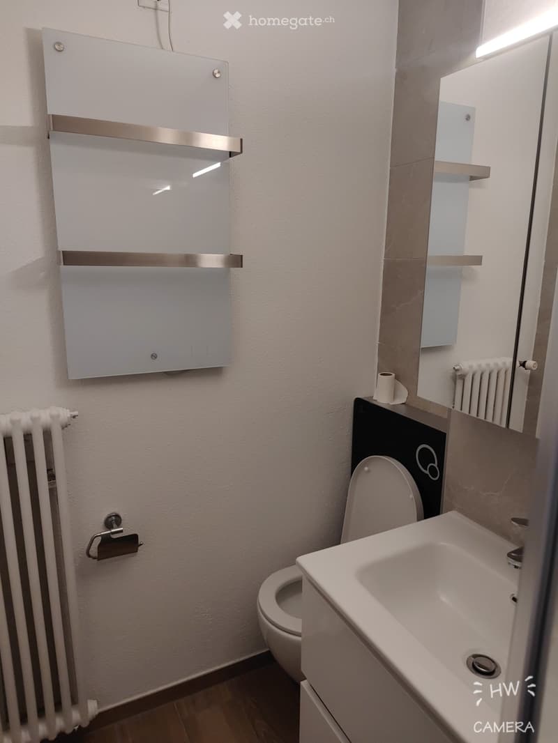 Modern bathroom with a toilet, sink, mirror, and radiator. The walls are white with a sleek, contemporary design.