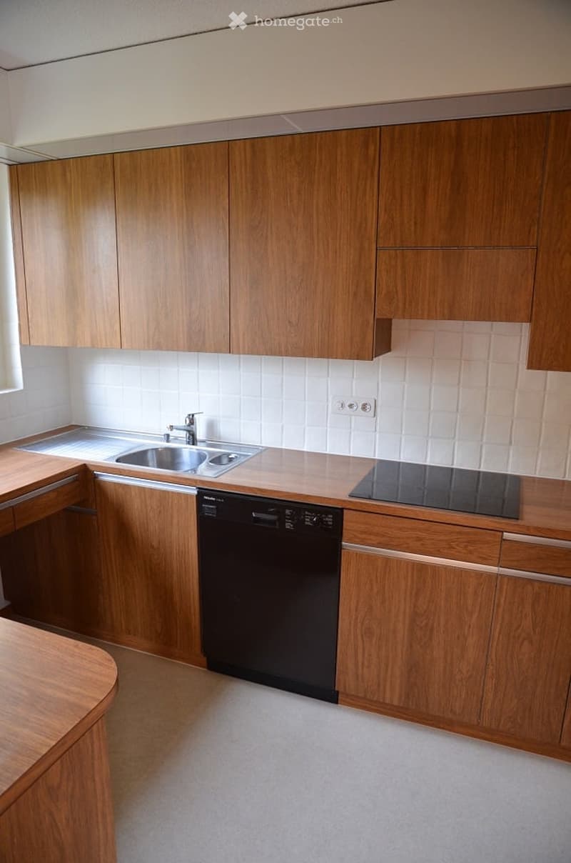 modern kitchen with wooden cabinets, stainless steel sink, dishwasher, gas stove