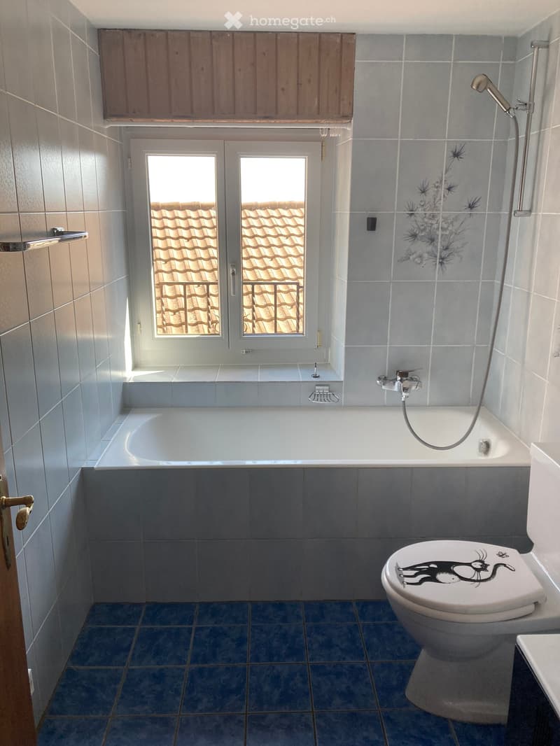 Bathroom with a bathtub, toilet, and showerhead. The walls are tiled, and there is a window showing a tiled roof outside.