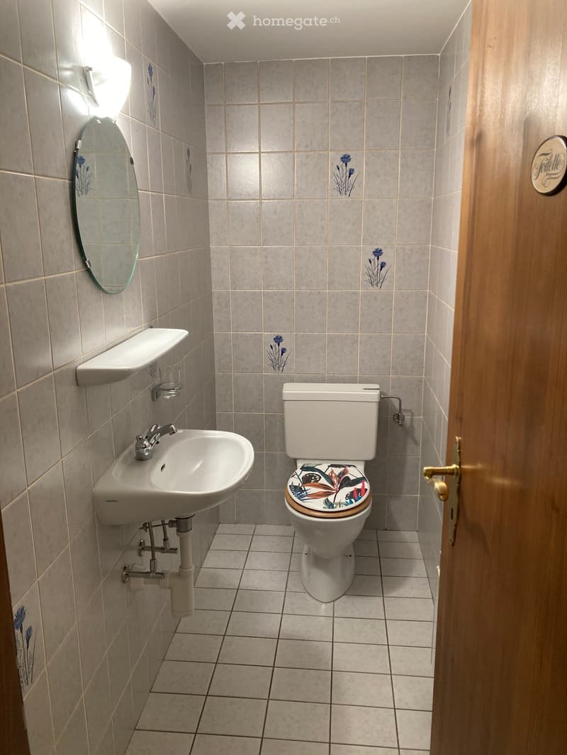 Small bathroom with beige tiled walls and floor, featuring a toilet with a decorative seat cover, a sink with a faucet, and a wall-mounted mirror.