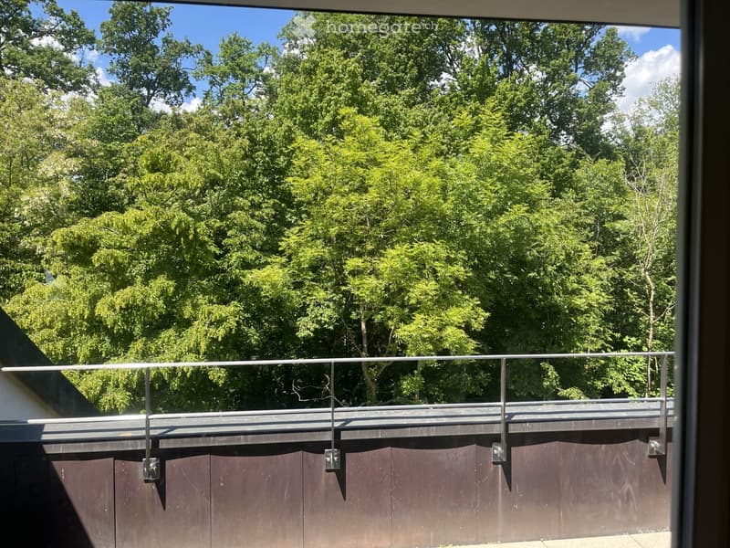Balcony with a modern metal railing, overlooking a lush green garden with tall trees.