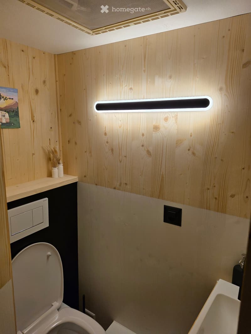 Compact bathroom with wooden walls, a toilet, a sink, a small shelf with vases, and modern lighting fixtures.