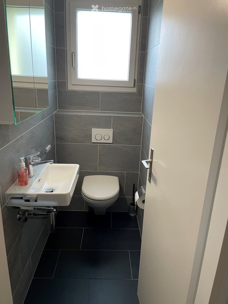 Modern bathroom with dark grey tiles, white sink, chrome faucet, toilet, and a large mirror on the wall.