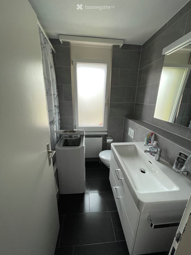 Modern bathroom with dark tiled walls and floor, white sink with modern faucet, toilet, mirror, and a small cabinet. A shower curtain is visible on the left side.