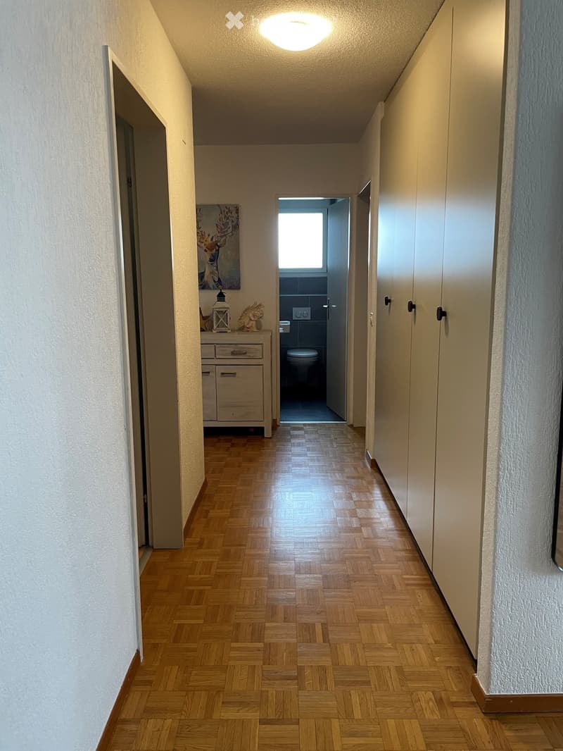 A narrow hallway with wooden flooring, white walls, and built-in cabinets on one side. A small cabinet with drawers and a decorative lantern is visible on the left, and a bathroom with a toilet is visible at the end of the hallway.