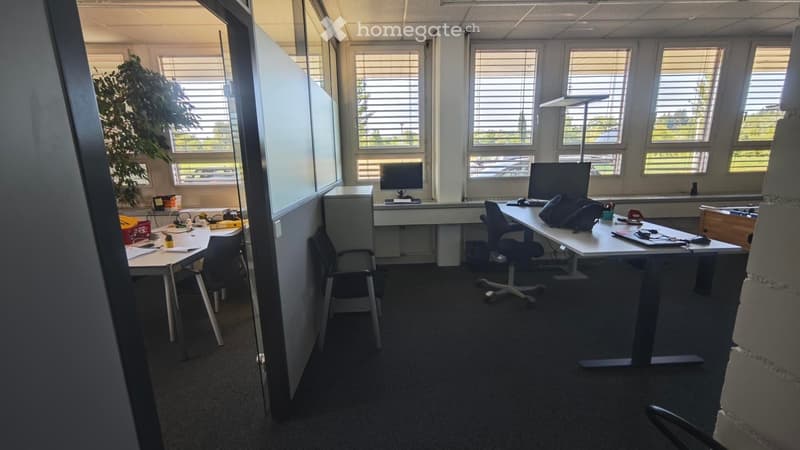 Office space with desks, chairs, computer monitors, keyboards, mice, and a plant. Large windows with blinds allow natural light.