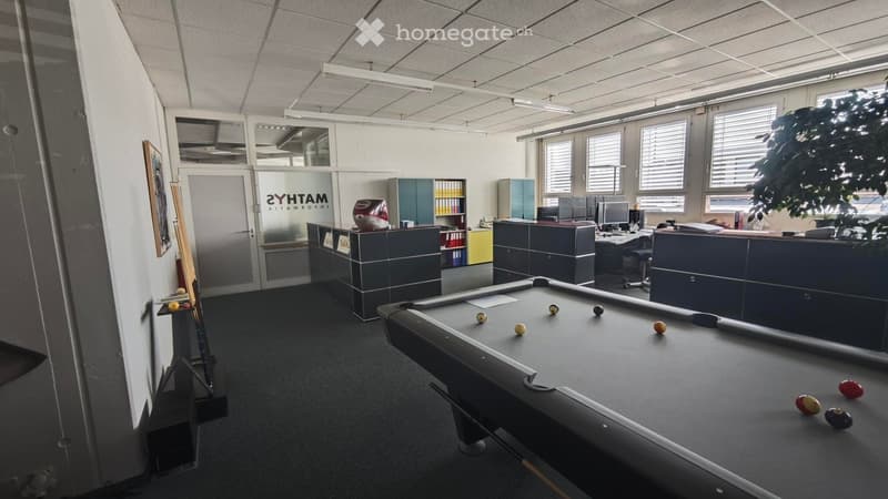 Office space with a pool table, desks, computers, and a plant in the corner.
