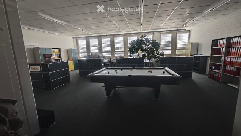 Office space with a pool table, office furniture, bookshelves, and a potted plant. The room has large windows with blinds and fluorescent lighting.